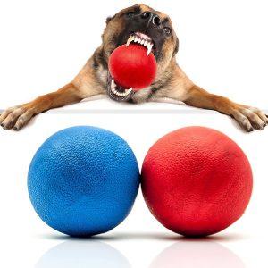 قیمت و خرید توپ لاستیکی قوی برای سگ ( اسباب بازی نابود نشدنی سگ ) برند: Petopedia